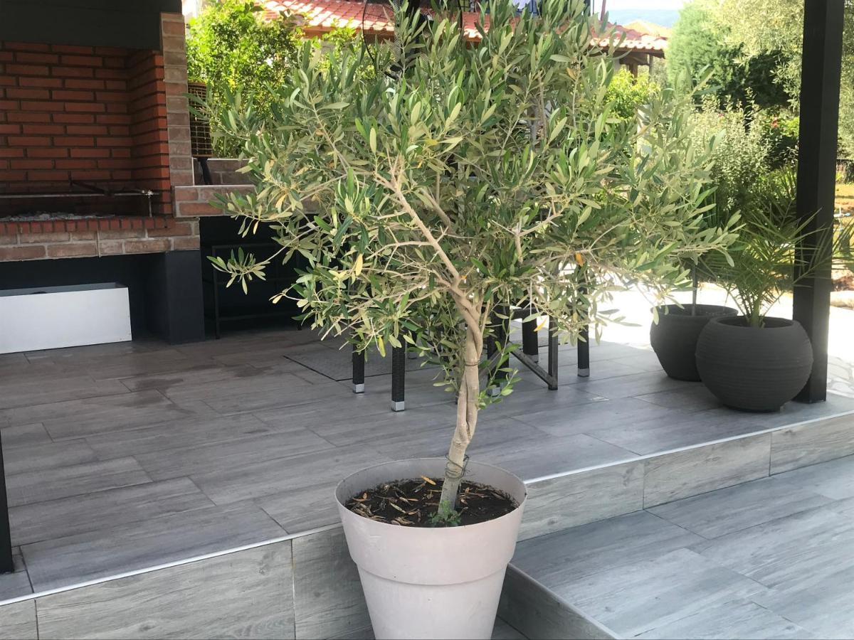 Terra Holiday Homes-Marigold Asprovalta Exterior foto